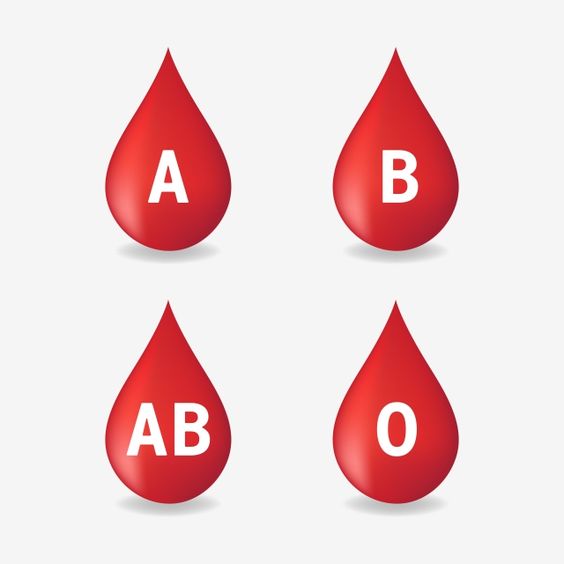Understanding Common Blood Tests and Their Results